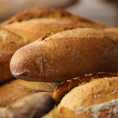 Découvrez la boulangerie pâtisserie Rolland Père et Fils Béziers ( ® SAAM fabrice CHORT)