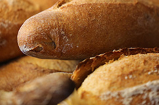 Découvrez la boulangerie pâtisserie Rolland Père et Fils Béziers ( ® SAAM fabrice CHORT)
